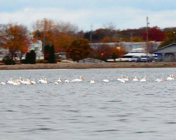 sanduskyregister.com