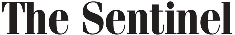 Portal logo image