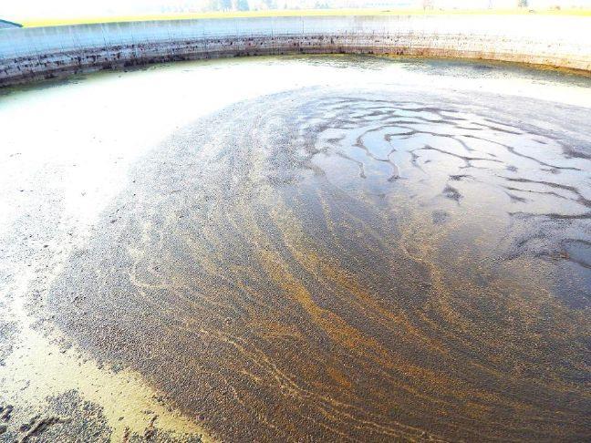 GREAT OUTDOORS: Ohio's livestock manure pollution rules hurting Lake ...