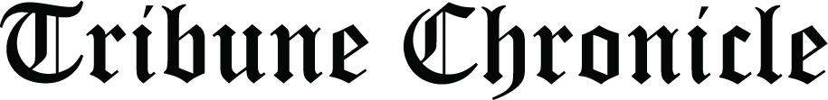 Portal logo image